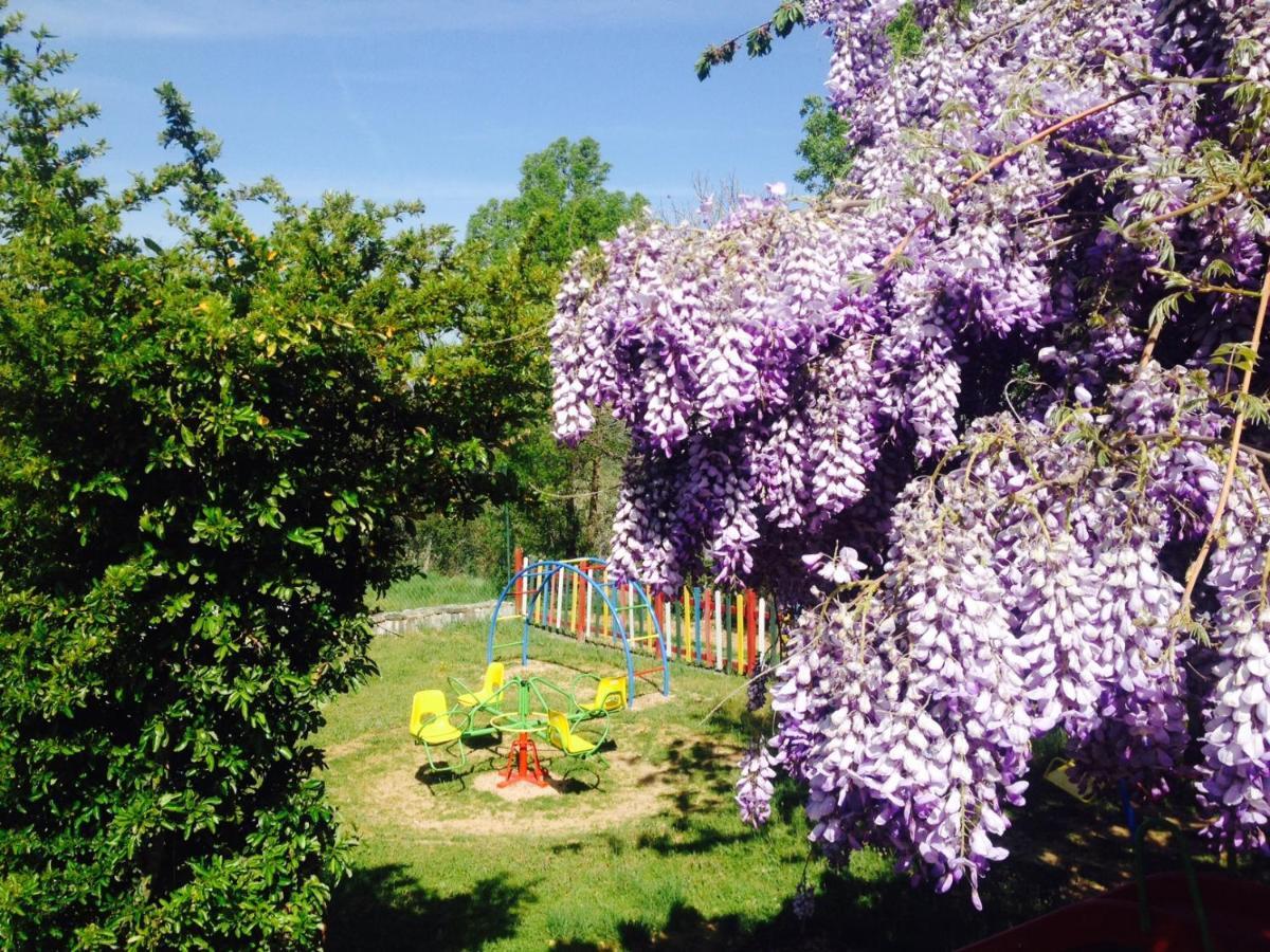 Micro Cabana Rotativa Bragança Buitenkant foto